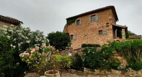 ok-IMG 20210619 182518098 HDR