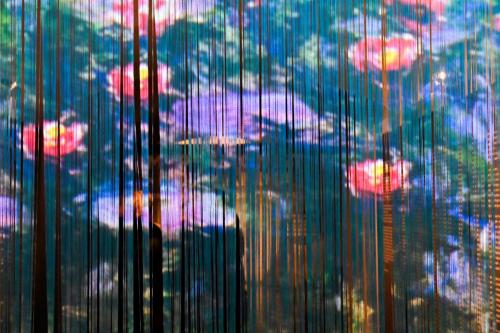 2024.12.26-FIRENZE-MUSEO-DELL-INNOCENTI-CLICK-la-luce-dipinge-19