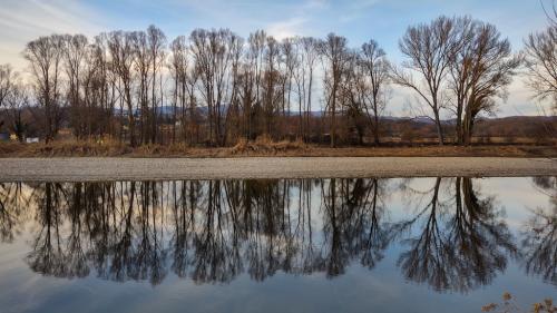 IMG 20220203 165527617 HDR