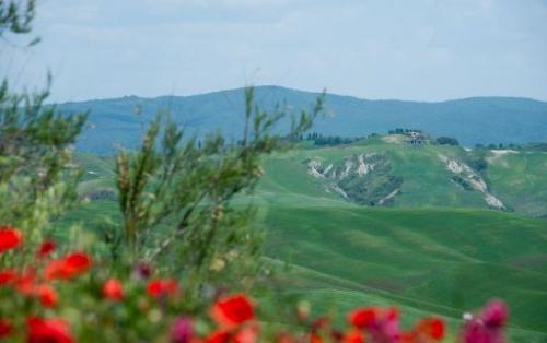 Crete Senesi le Biancane