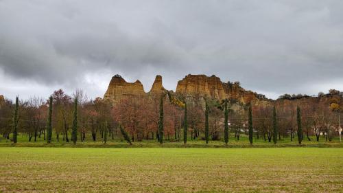 °°IMG 20221211 095938637 HDR