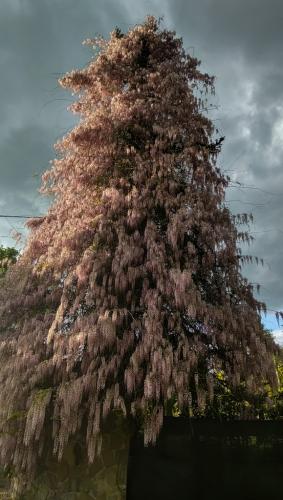IMG 20220502 185250842 HDR